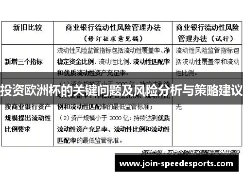 投资欧洲杯的关键问题及风险分析与策略建议 投资欧洲杯的关键问题及风险分析与策略建议