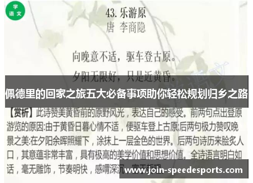 佩德里的回家之旅五大必备事项助你轻松规划归乡之路