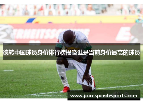 德转中国球员身价排行榜揭晓谁是当前身价最高的球员 德转中国球员身价排行榜揭晓谁是当前身价最高的球员