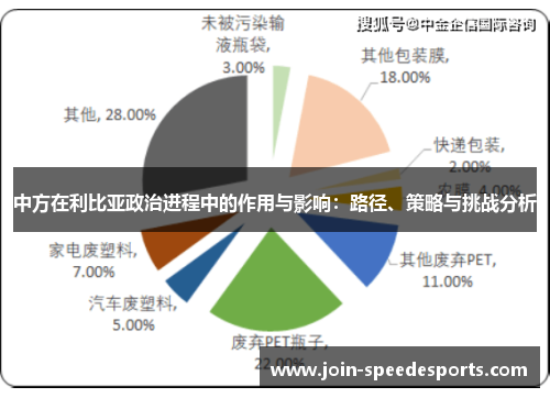 中方在利比亚政治进程中的作用与影响：路径、策略与挑战分析