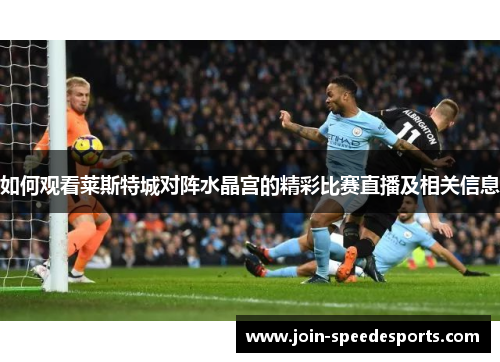 如何观看莱斯特城对阵水晶宫的精彩比赛直播及相关信息 如何观看莱斯特城对阵水晶宫的精彩比赛直播及相关信息