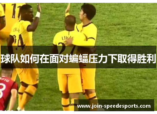 球队如何在面对蝙蝠压力下取得胜利
